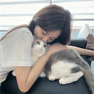 铁血玫瑰