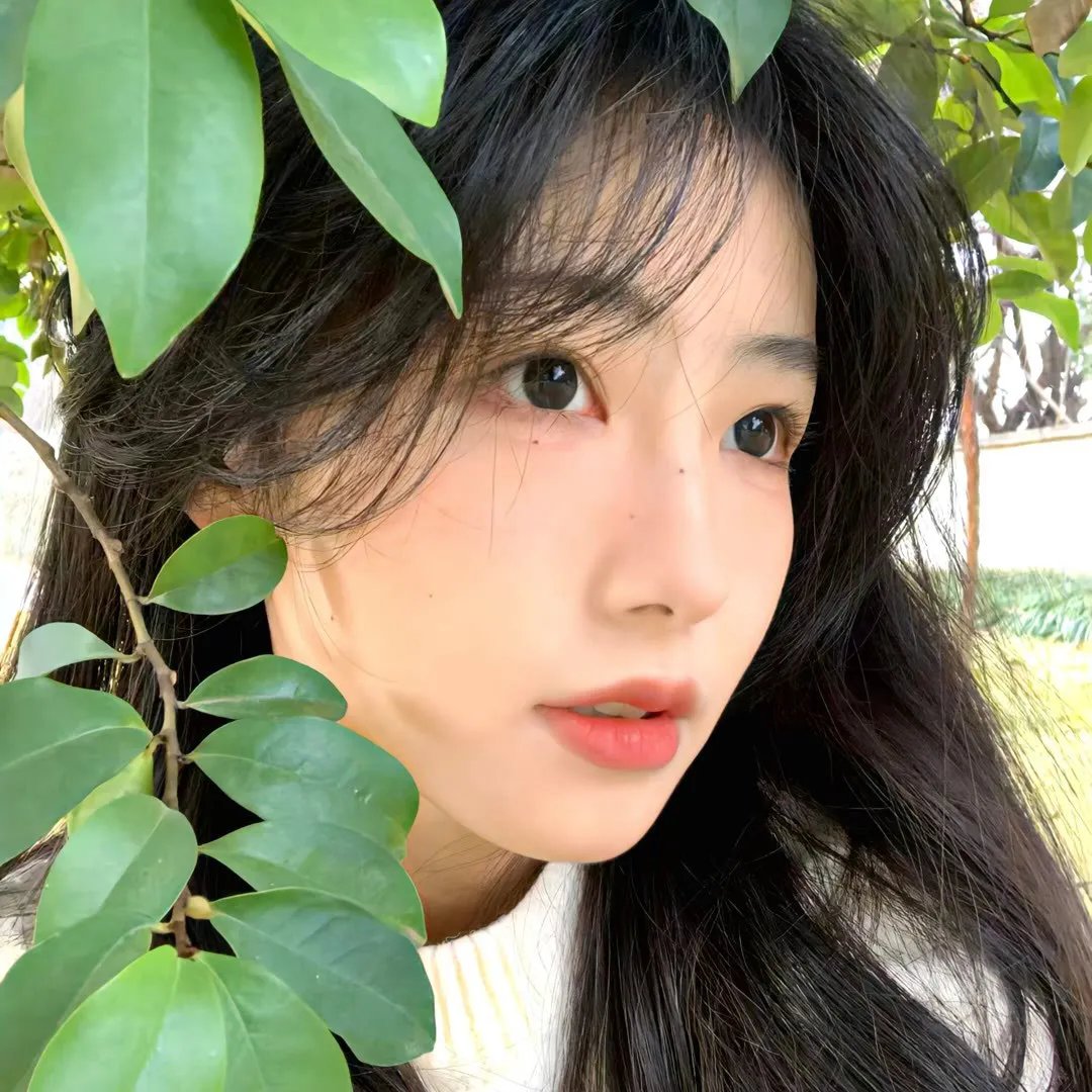 红圈